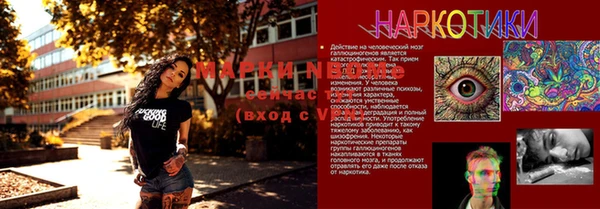 крисы Алзамай