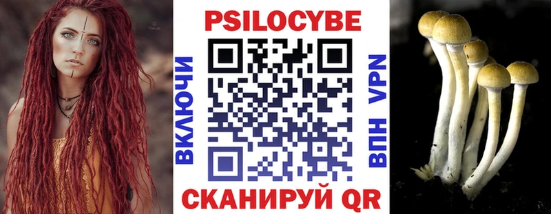 darknet какой сайт Кимры Галлюциногенные грибы мицелий