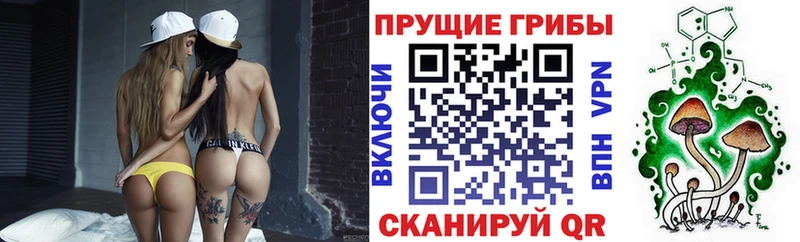 Псилоцибиновые грибы Psilocybine cubensis Кимры