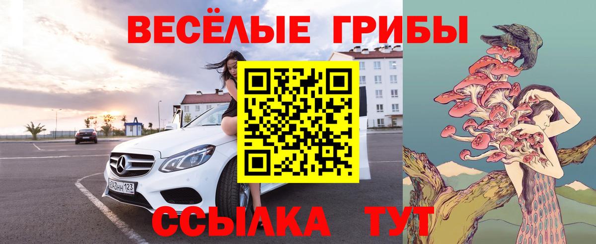 Галлюциногенные грибы Magic Shrooms Кимры