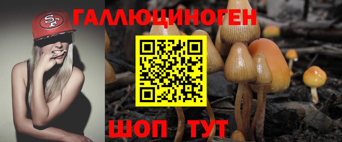 где продают наркотики  Псилоцибиновые грибы мухоморы  Вход с VPN  Псилоцибиновые грибы GOLDEN TEACHER  Кимры 